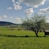 ustrzyki dolne