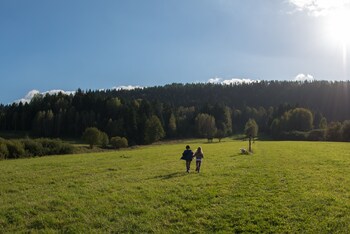 ustrzyki dolne