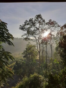 ella breeze homestay