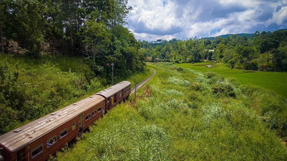 ella breeze homestay