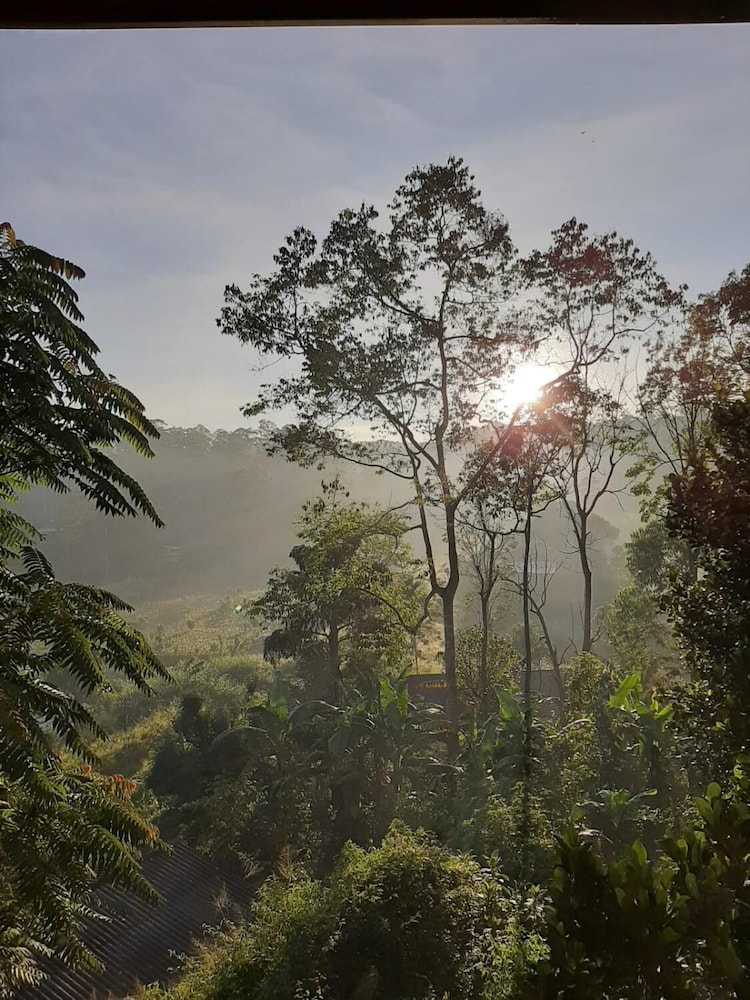 ella breeze homestay