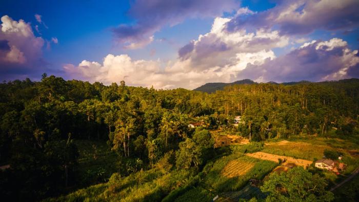 ella breeze homestay