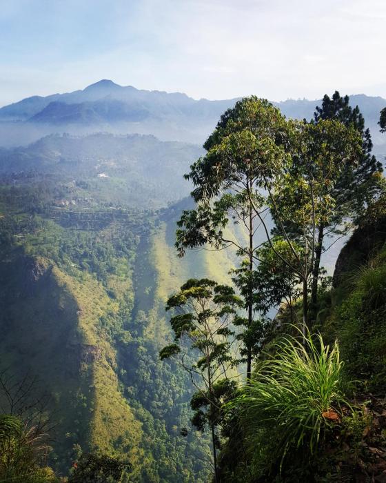 ella breeze homestay