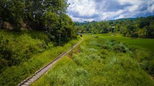 ella breeze homestay