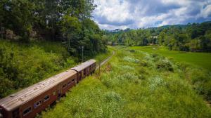 ella breeze homestay