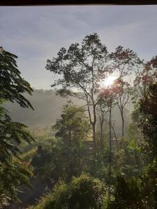 ella breeze homestay