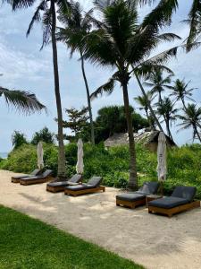 harding boutique hotel