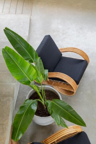 harding boutique hotel