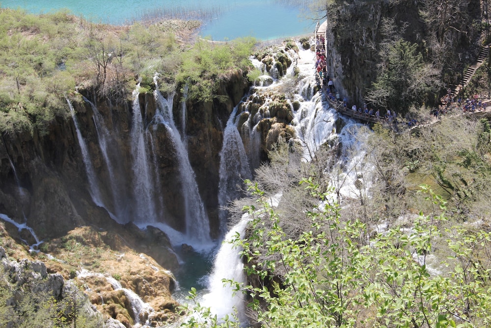 rakovica