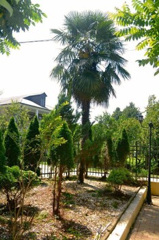 rosa hotel gonio