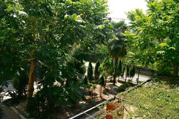 rosa hotel gonio