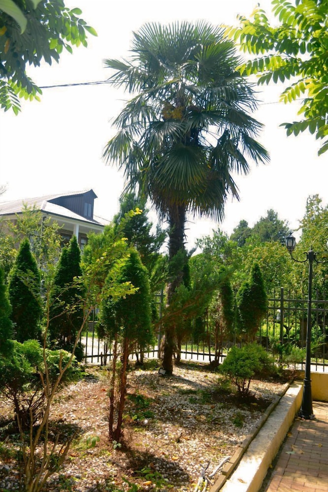 rosa hotel gonio