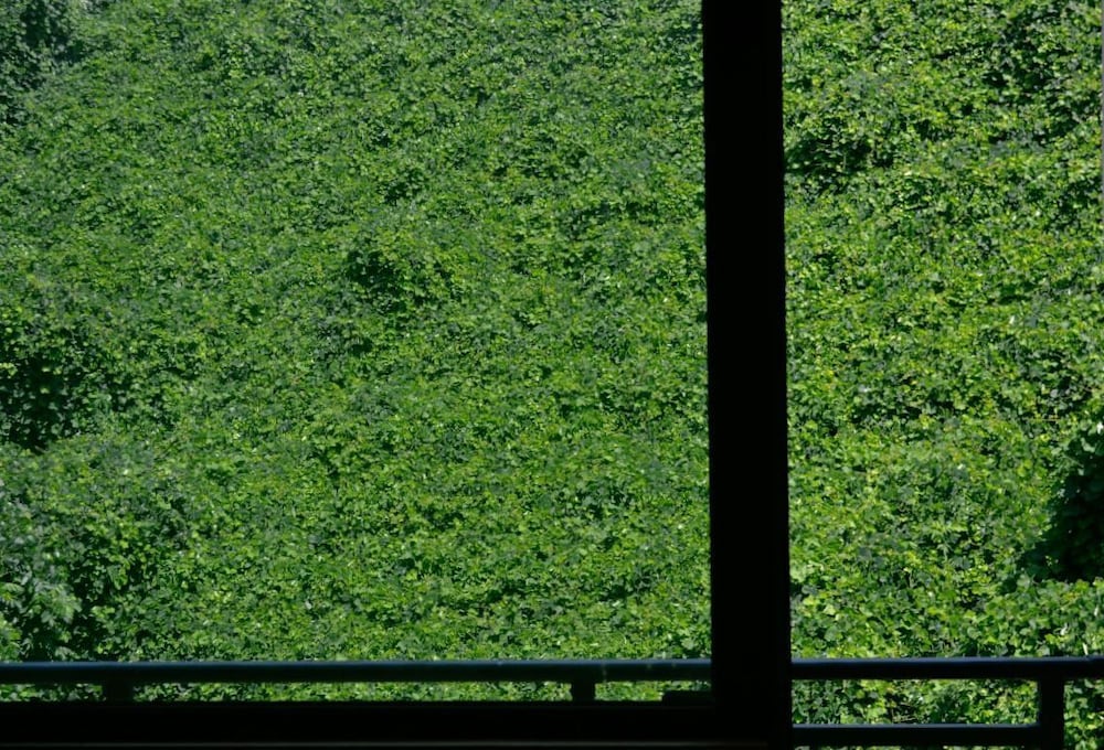 rosa hotel gonio