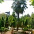 rosa hotel gonio