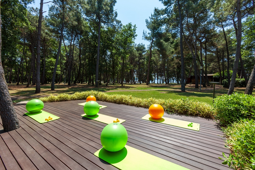 hotel melia coral for plava laguna adults only