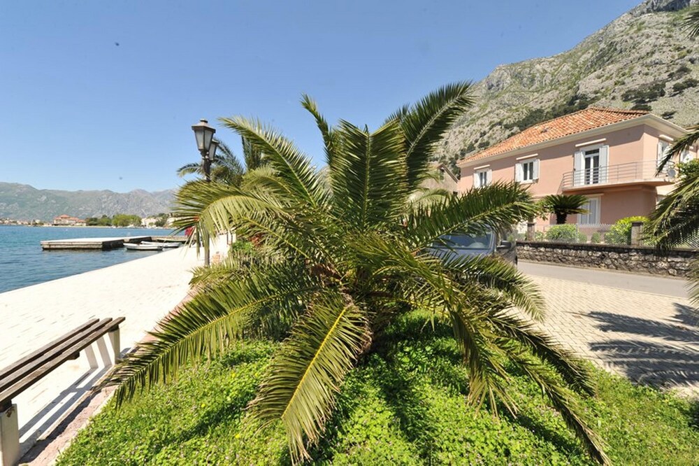 kotor