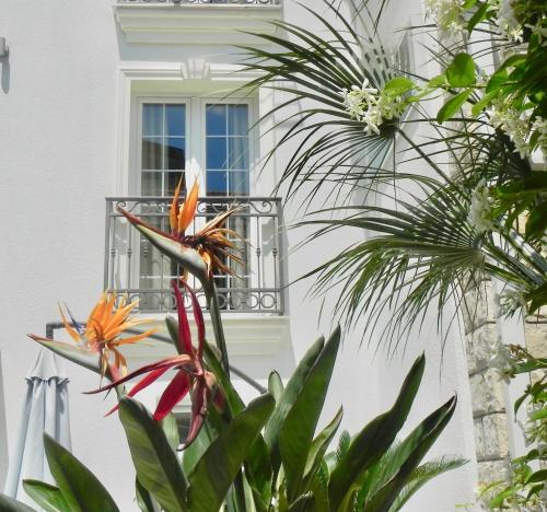 apartments captains villa