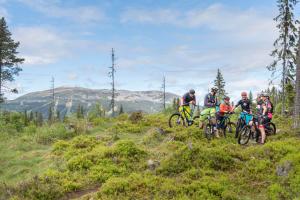 trysil hotell