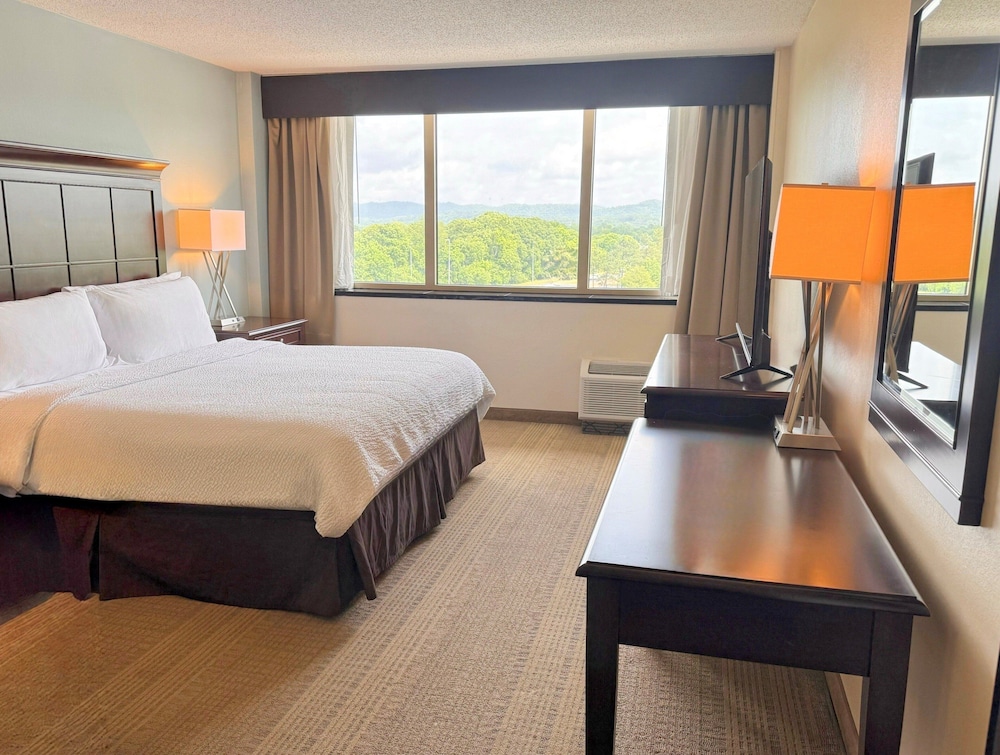 holiday inn birmingham airport by ihg