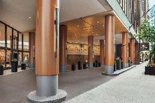 hilton grand vacations club chicago magnificent mile