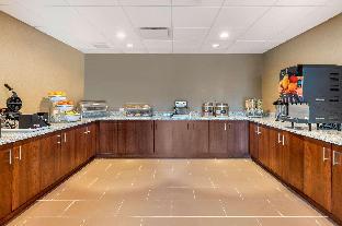 comfort inn and suites