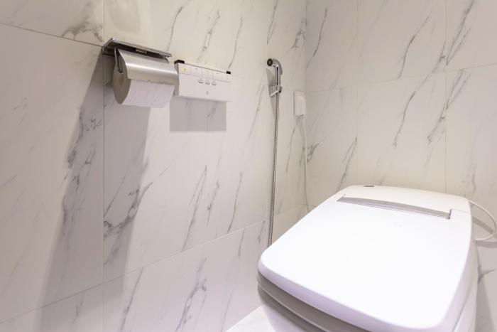 browndot hotel centum