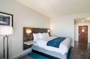 comfort inn and suites gulf shores east beach
