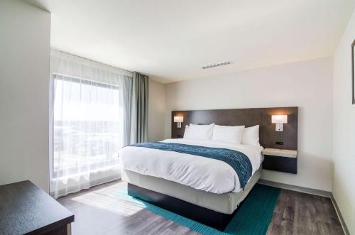 comfort inn and suites gulf shores east beach