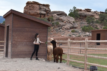 cougar ridge resort llc
