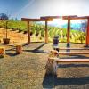 papillon cellars