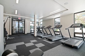 global luxury suites at mountain view