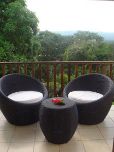 mangoes resort adults only