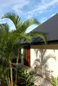 mangoes resort adults only