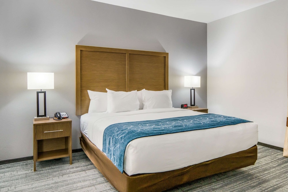 comfort suites desoto dallas south