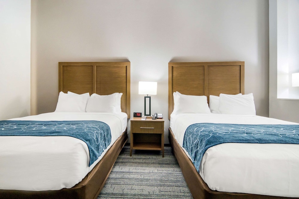 comfort suites desoto dallas south