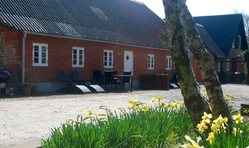 ringkobing
