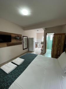 velinn pousada iguana azul