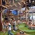 great wolf lodge arizona