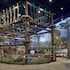 great wolf lodge arizona