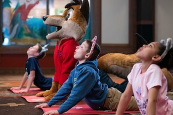 great wolf lodge arizona