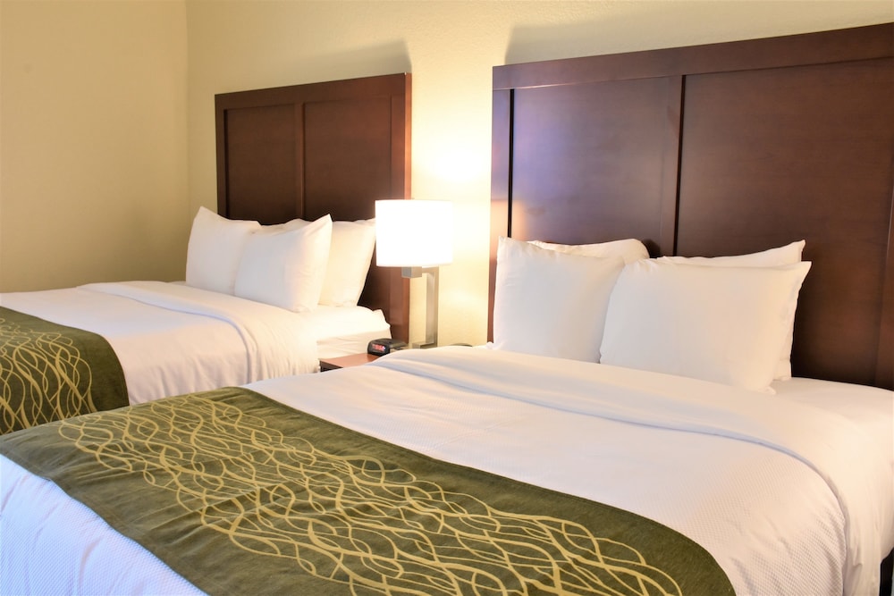 comfort inn and suites
