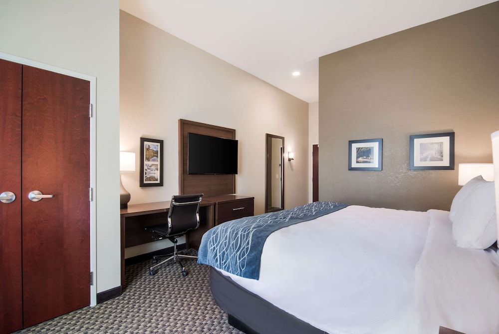 comfort inn and suites