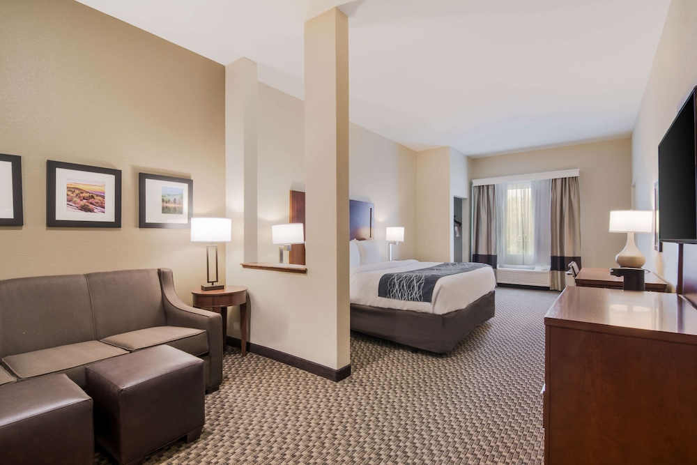 comfort inn and suites