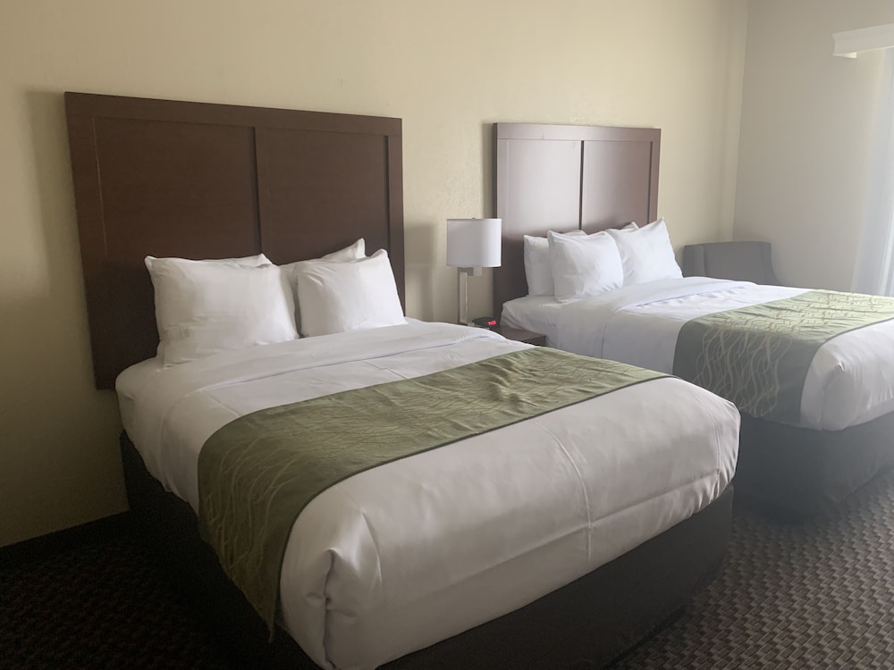 comfort inn and suites