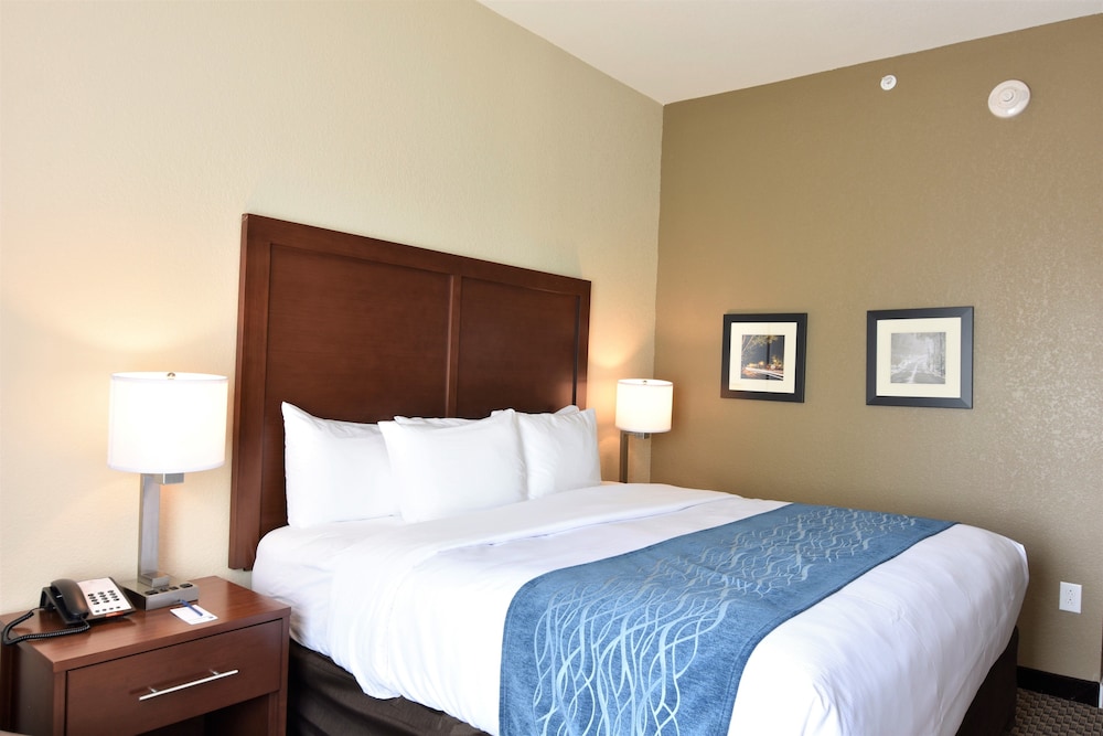 comfort inn and suites