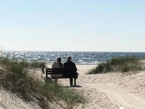malarhusen stugby osterlen