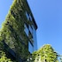 naalt hotel joinville