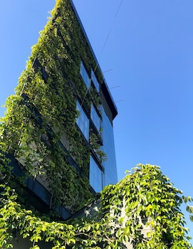 naalt hotel joinville