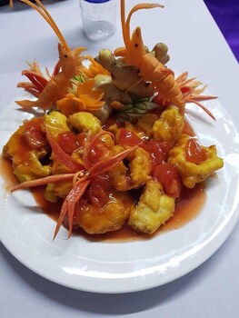 windy hotel quang binh