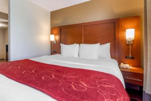 comfort suites north